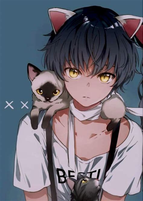 anime catboy|catboy anime pfp.